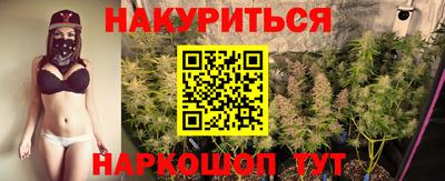 крисы Кандалакша