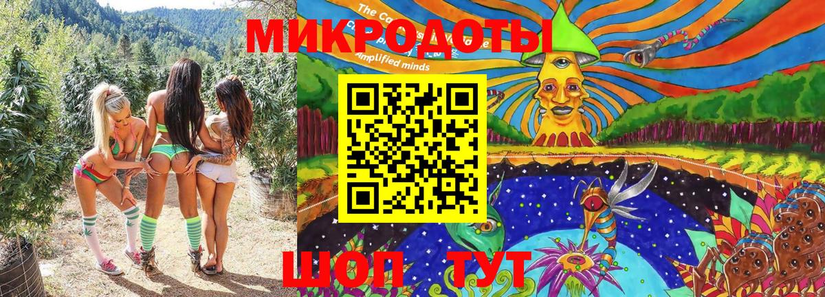 Псилоцибиновые грибы прущие грибы Кстово